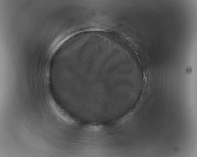 X0000113630247200910091602