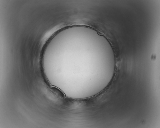 X0000113630248200910091602