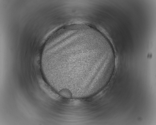 X0000113630249200910091602