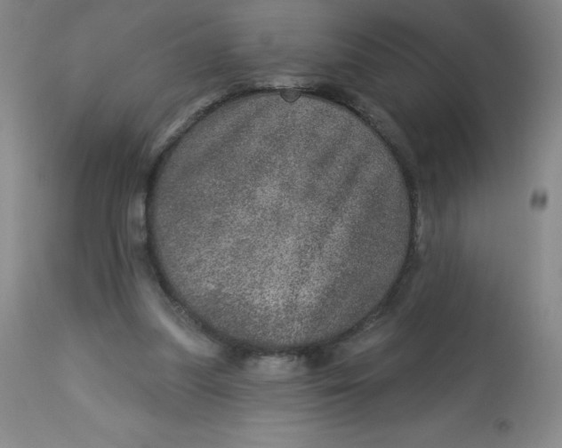 X0000113630251200910091602