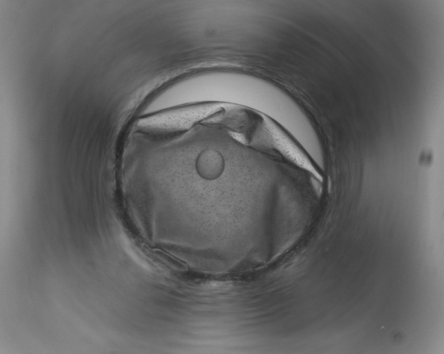 X0000113630252200910091602