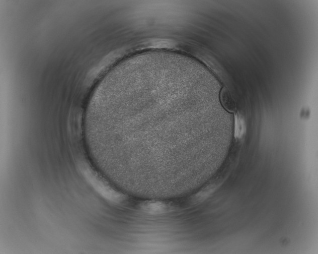 X0000113630253200910091602