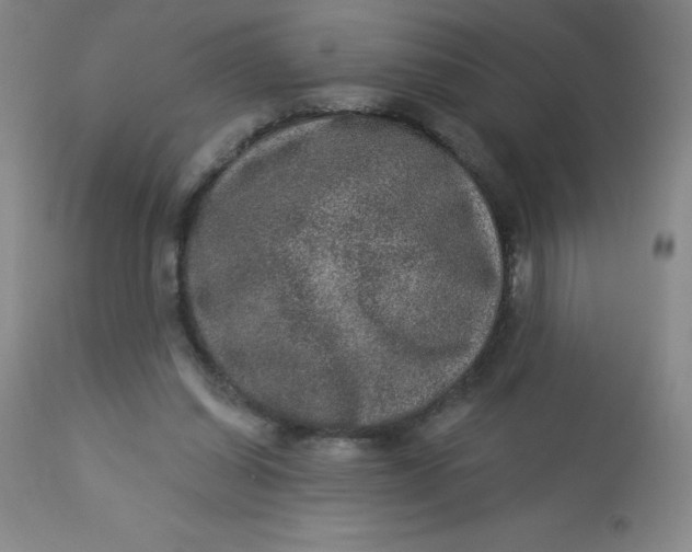 X0000113630254200910091602