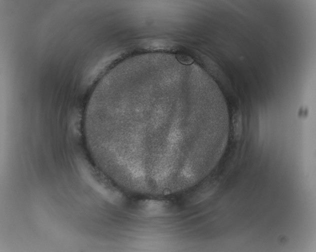 X0000113630255200910091602