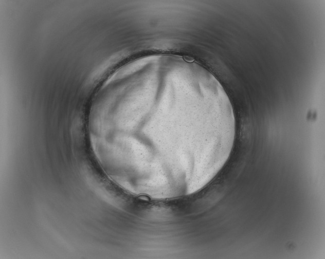 X0000113630256200910091602