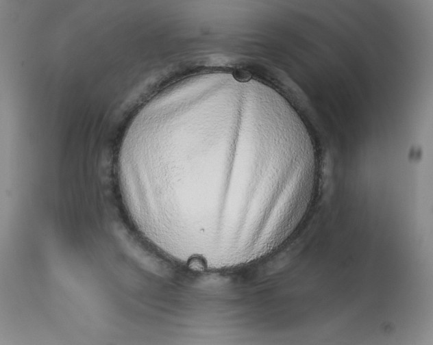 X0000113630257200910091602