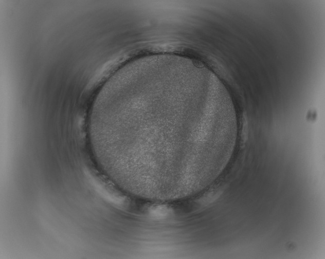 X0000113630258200910091602