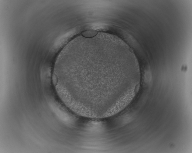 X0000113630260200910091602