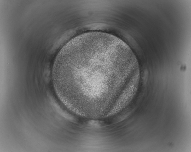 X0000113630261200910091602