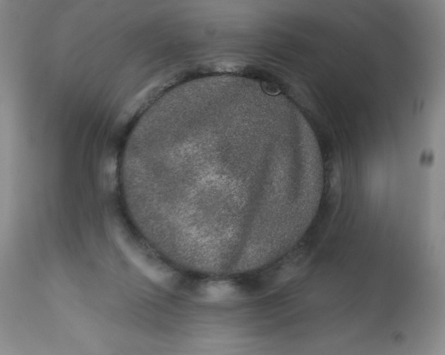 X0000113630262200910091602