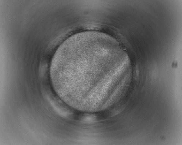 X0000113630263200910091602