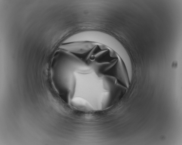 X0000113630264200910091602