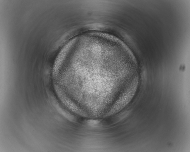 X0000113630265200910091602