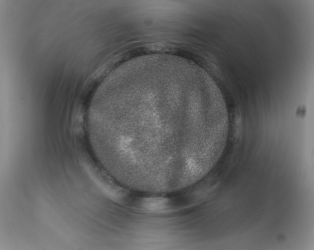 X0000113630266200910091602