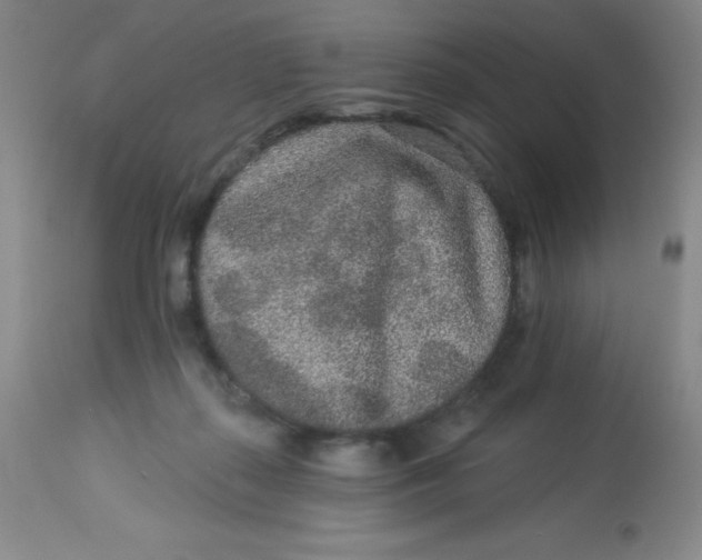 X0000113630267200910091602