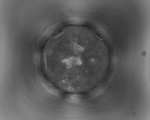 X0000113630268200910091602