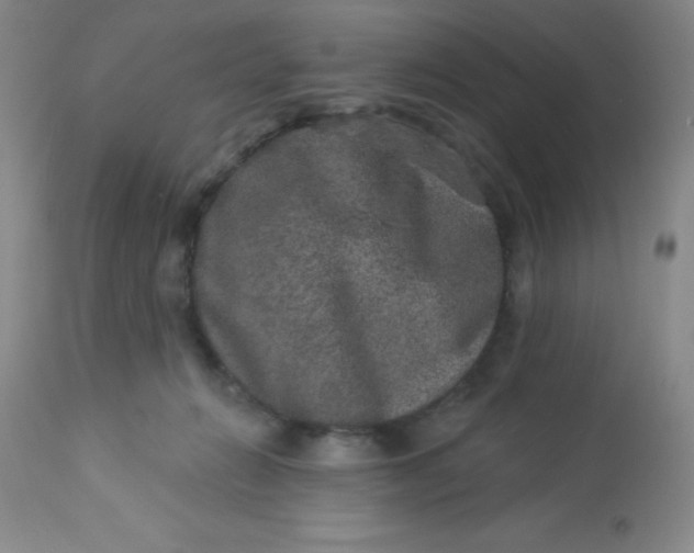 X0000113630270200910091602