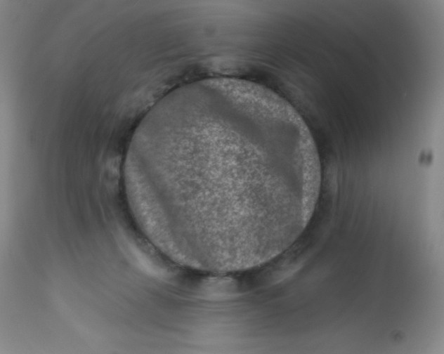 X0000113630271200910091602