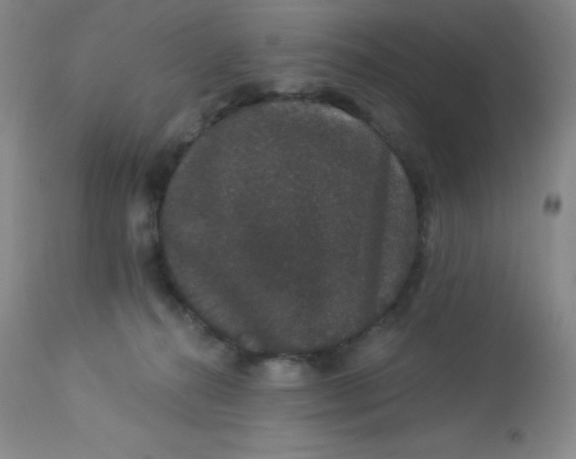 X0000113630272200910091602