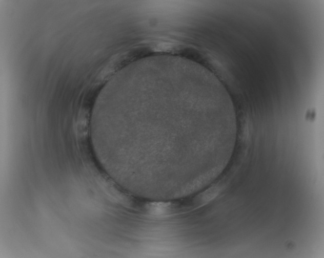 X0000113630273200910091602