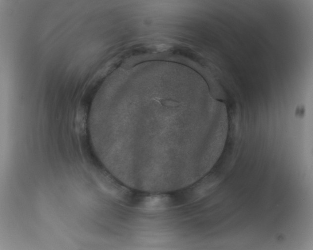 X0000113630274200910091602