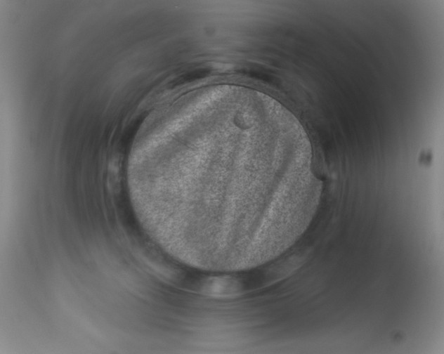 X0000113630275200910091602