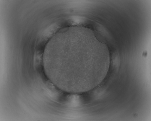 X0000113630276200910091603