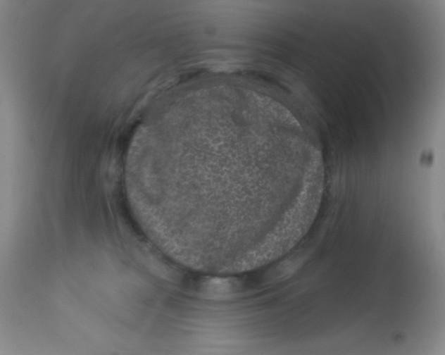 X0000113630277200910091603