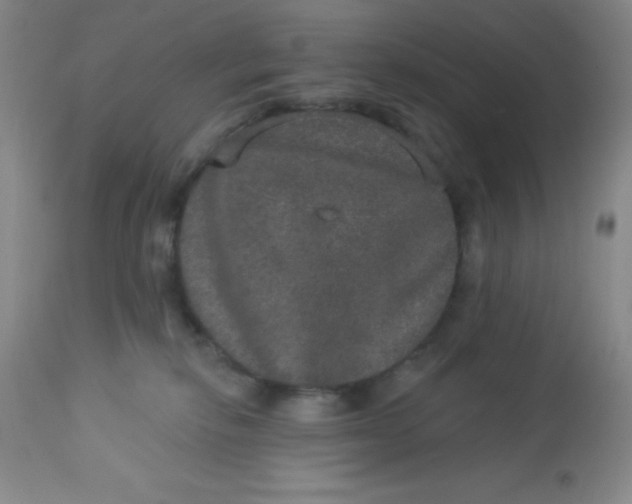 X0000113630278200910091603