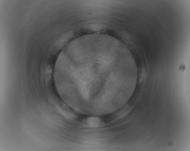 X0000113630279200910091603