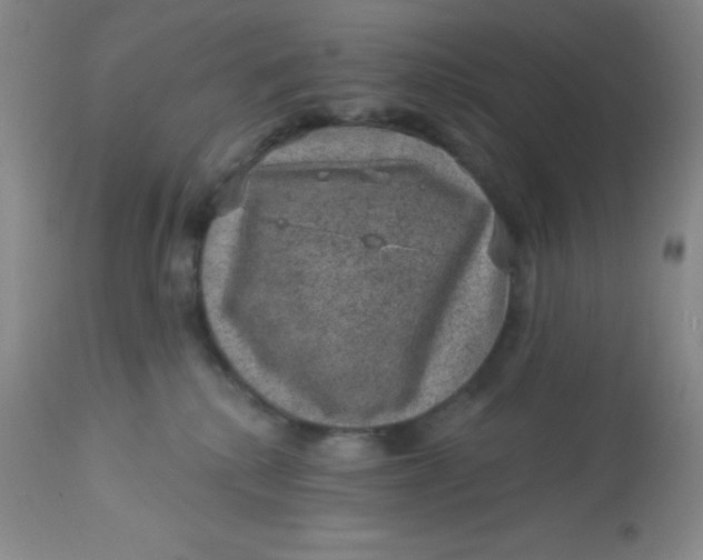 X0000113630280200910091603