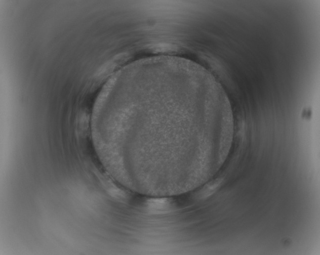 X0000113630281200910091603