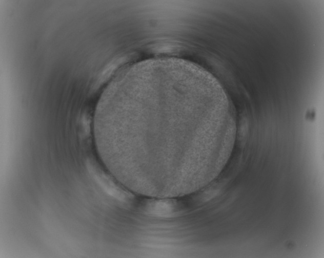 X0000113630282200910091603