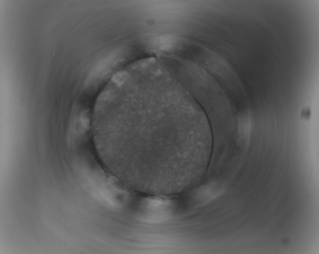 X0000113630284200910091603