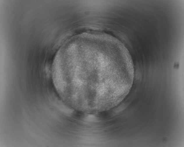 X0000113630285200910091603