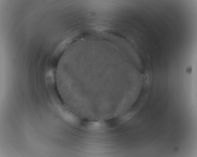 X0000113630286200910091603