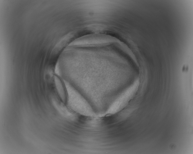 X0000113630288200910091603