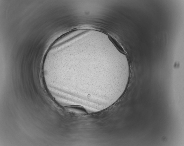 X0000113630289200910091602