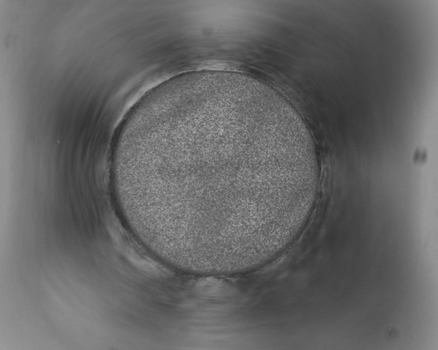 X0000113630290200910091602