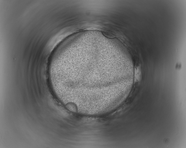 X0000113630291200910091602