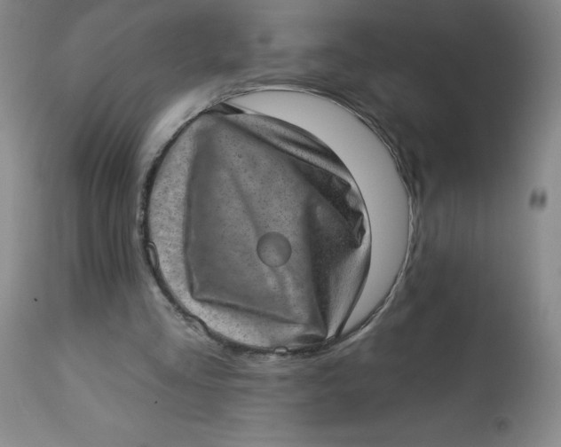 X0000113630293200910091602