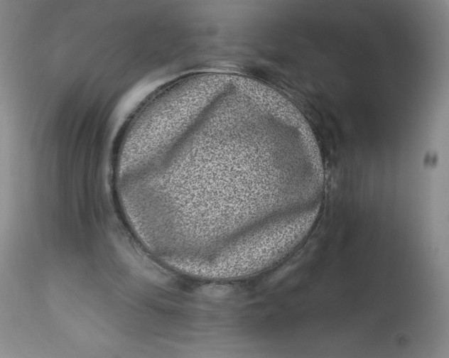 X0000113630294200910091602