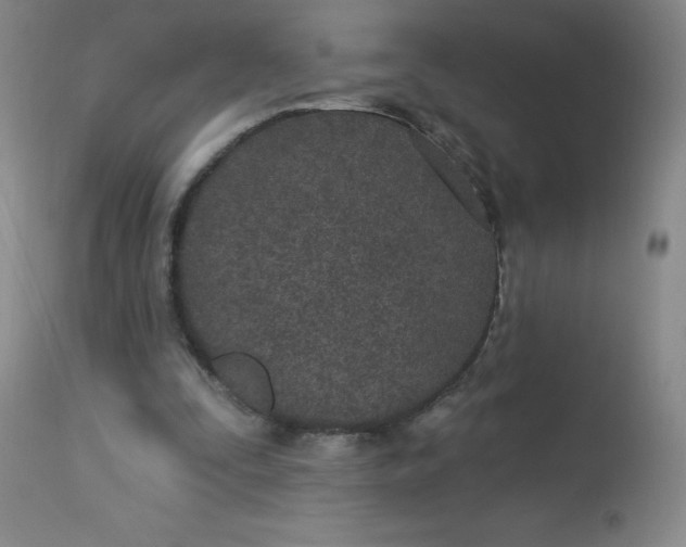 X0000113630295200910091602