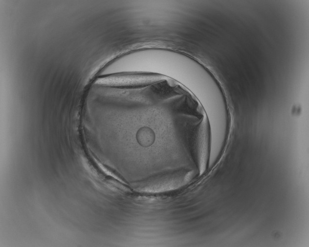 X0000113630297200910091602