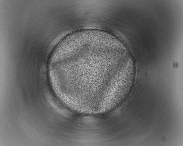 X0000113630298200910091602