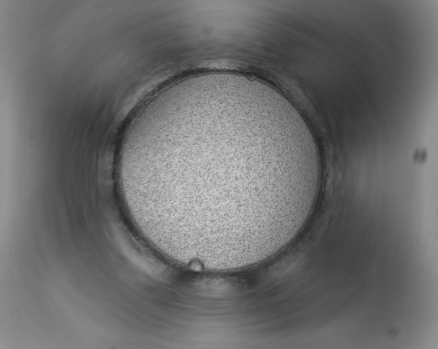 X0000113630299200910091602