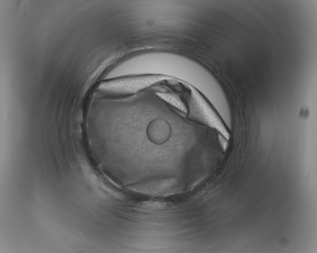 X0000113630300200910091602