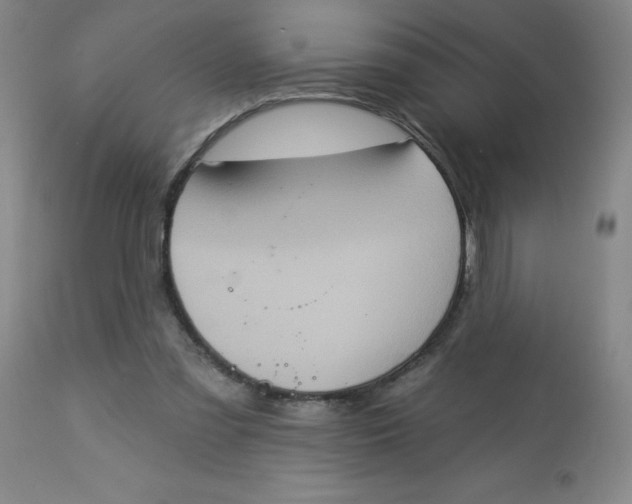 X0000113630301200910091602