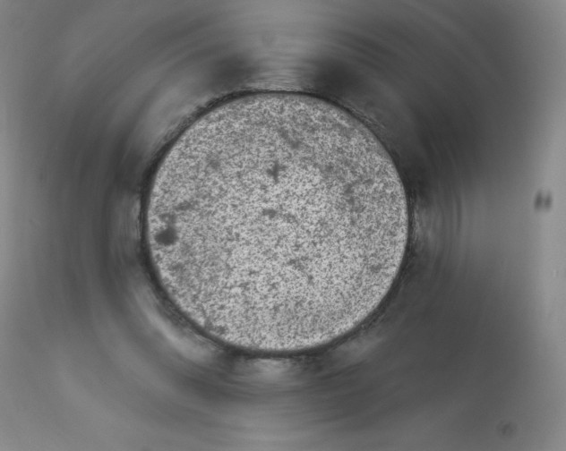 X0000113630302200910091602