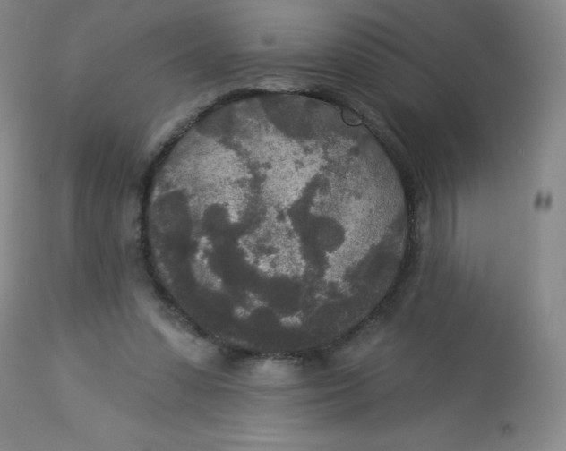 X0000113630303200910091602